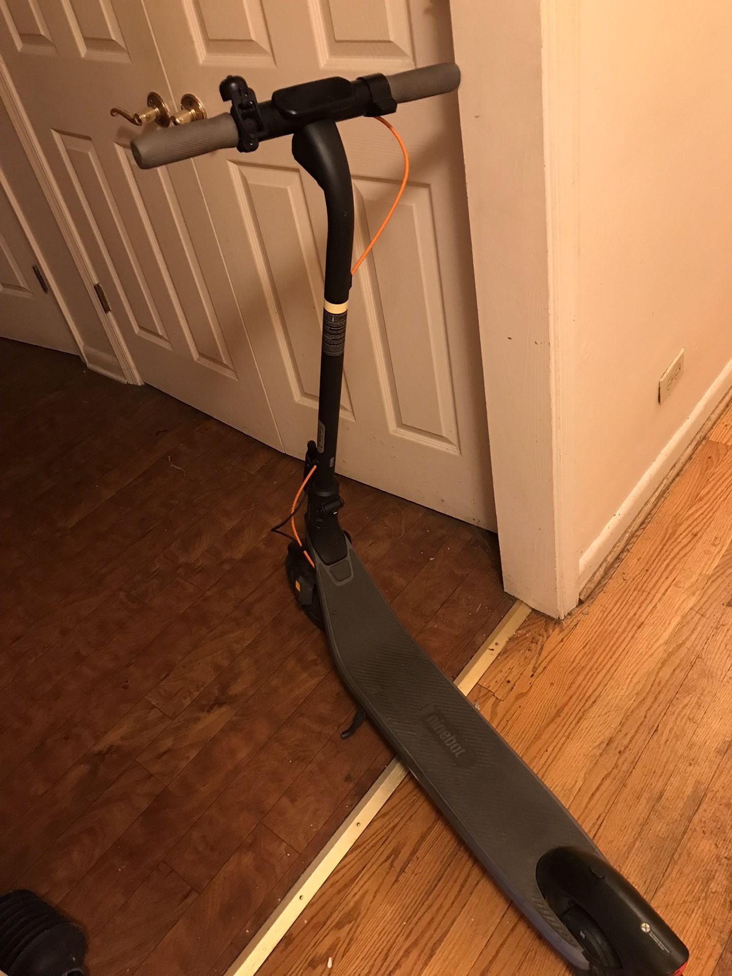 Ninebot (by Segway) Electric Scooter