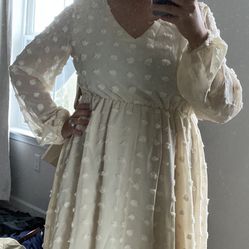 NWT  Dress   Size Large    Never Worn 