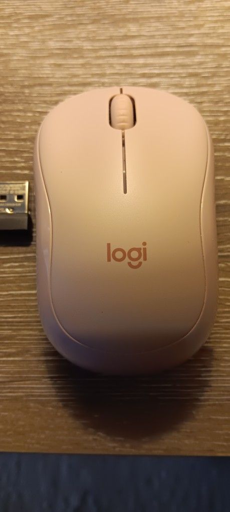 Silent Wireless Mouse