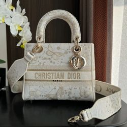 Christian Dior Lady D-Lite Embroidered Bag 