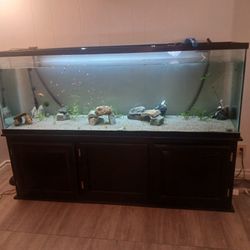 Fish Tank 120 Gallons