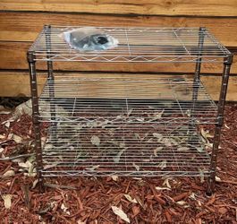 3 Shelf Rack Estante de 3