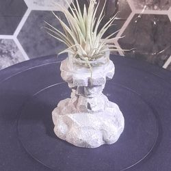 Stone Pillar Air Plant Holder
