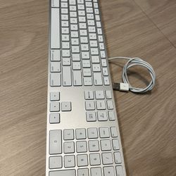 Apple Wired Keyboard Model A1243 EMC2171