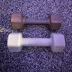 10 Pound Dumbbells