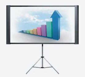 Portable 80" Projection Screen