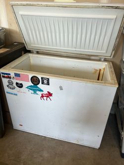 Chest freezer/ cold plunge
