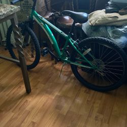 Mountain Bike (Pick Up Only)