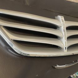 Genesis Grill 2010