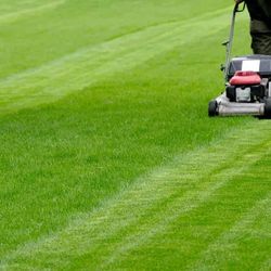 Lawn Services & Landscaping 