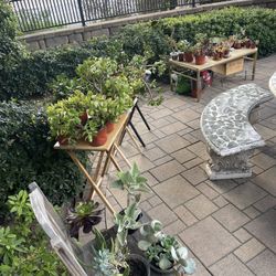 Selling All My Plants! 🌵🪴🪻