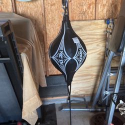 Double Ended Speed Bag