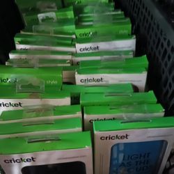 Cricket  Cell Phone 