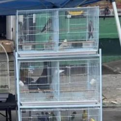 (contact info removed)