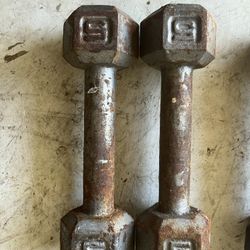 5 Lb Dumbbell Pair