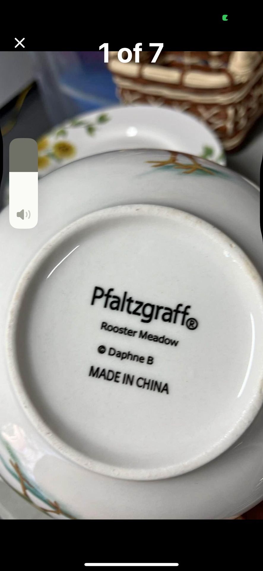PFaltzraffee Rooster Meadow Daphne B 16 Piece Dinner Set