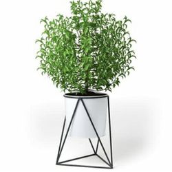 Plant Stand With Pot 