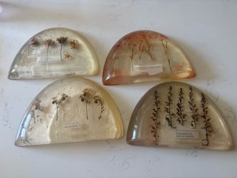 Vintage Pressed Wildflower Specimen Resin Paperweights Set of 4