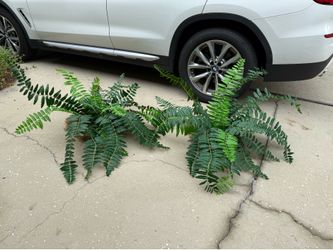 Two Large Artificial Ferns