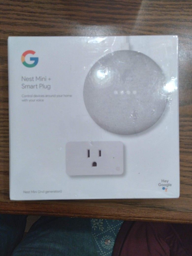 Nest Mini Smart Plug