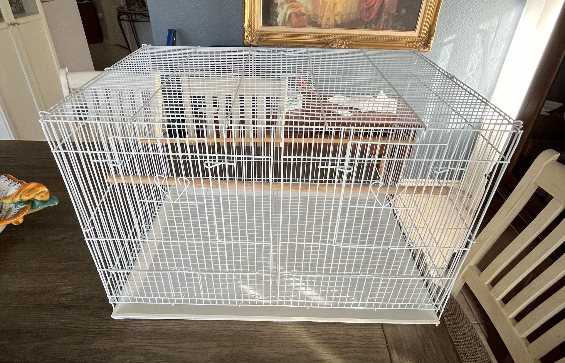 Bird Cage🦜🦜