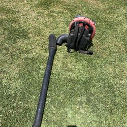 Gas/ Mixed  Leaf  Blower