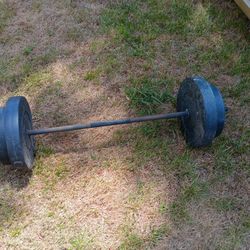 Barbell with 25lbs weights 