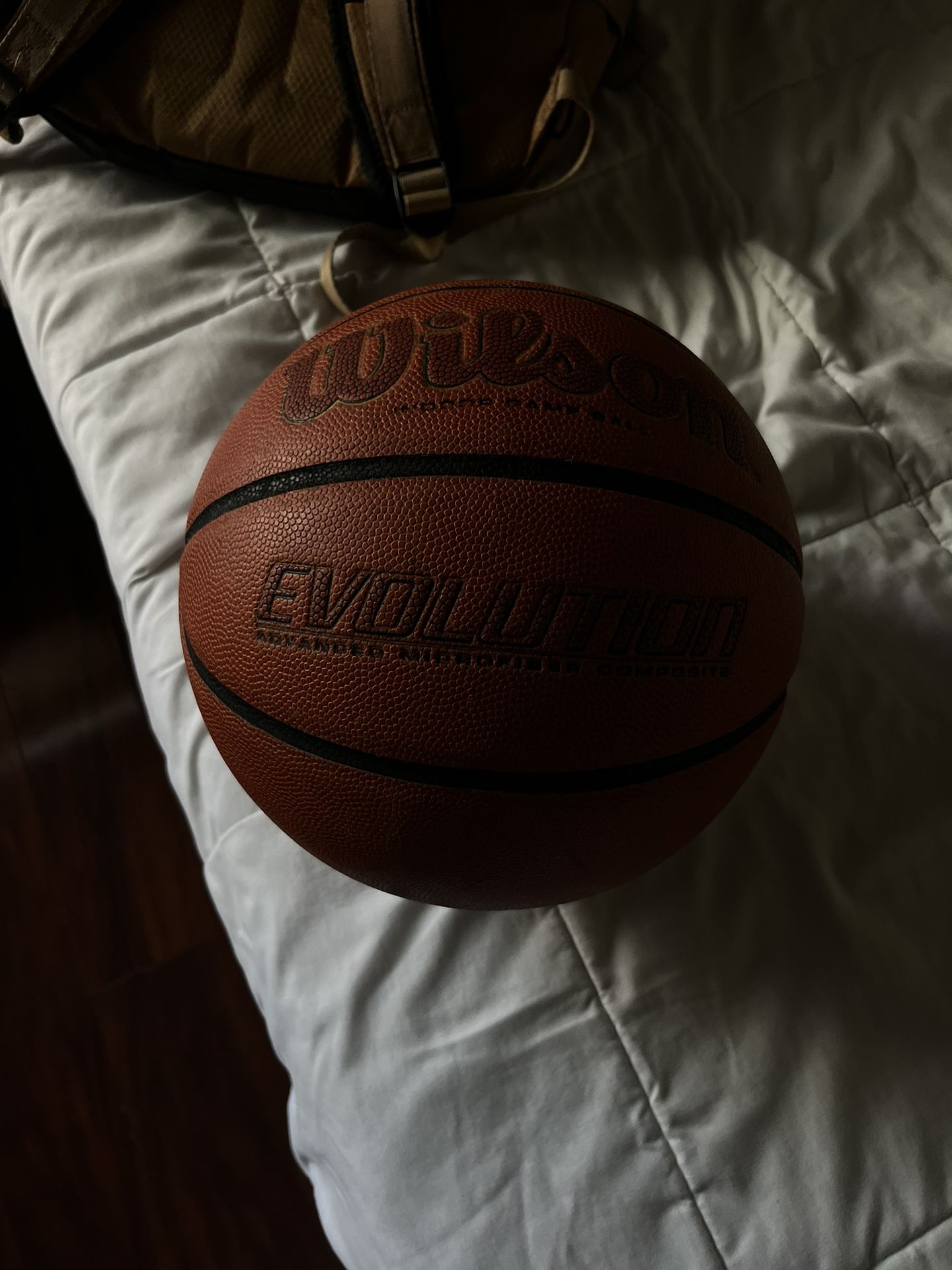 Wilson Evolution Ball