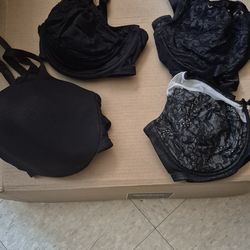 40DD BRA LOT