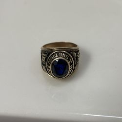 1977 10k GOLD  SOUTH WILLIAMSVILLE