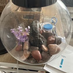 Ball Fish Tank