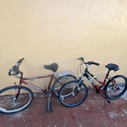 2 Adult Bikes