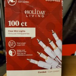 Christmas Lights 100 CT 21.9ft/6.67m Clear Mini Lights