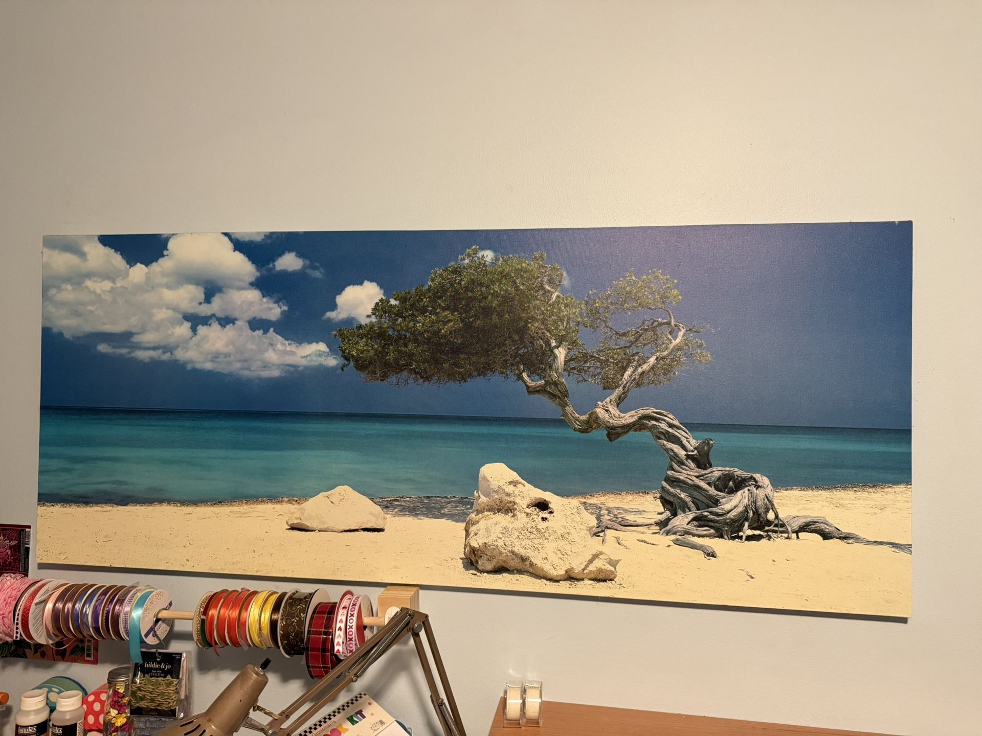 Ikea Hanging Canvas Print - 'Divi Divi Tree, Aruba' by Tom Mackie - 55" x 22"