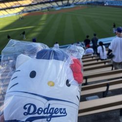 2025 hello kitty night dodger plushie
