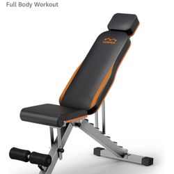 Weight Bench