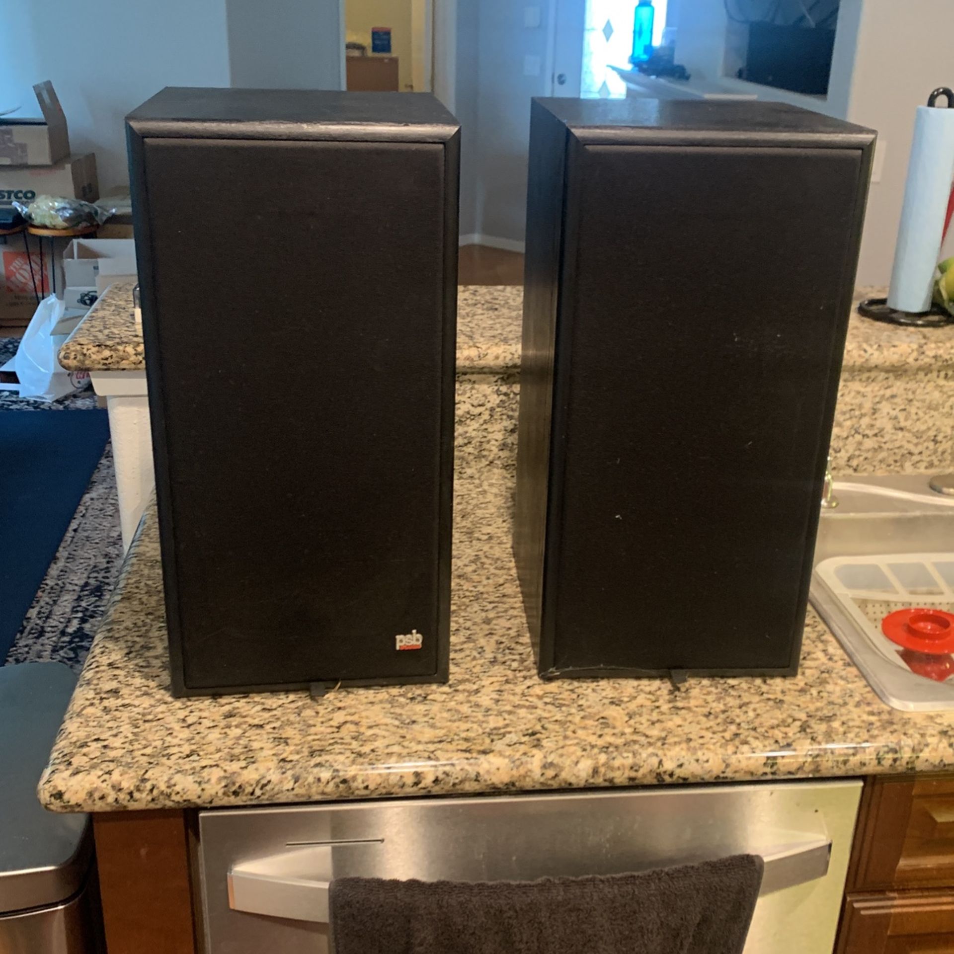 Vintage PSB Speakers Model: PSB40R