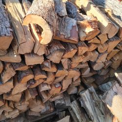 Chinese Elm Firewood 