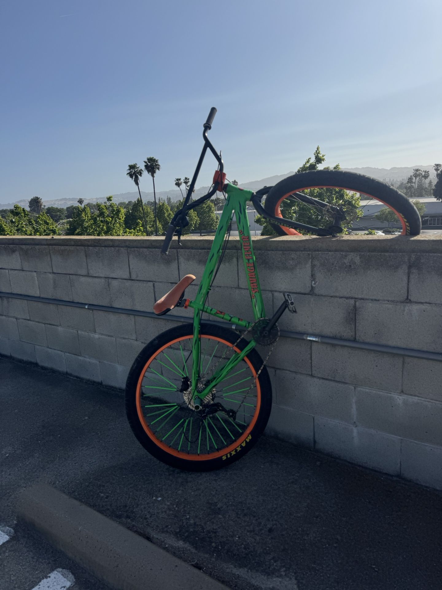 Savage Flyer Se Bike