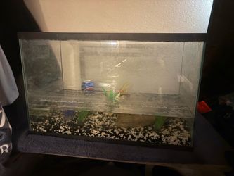 Tank