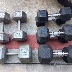 75lb 50lb 40lb 35lb 30lb free weight dumbbell home gym 