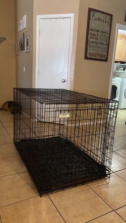 Dog Crate