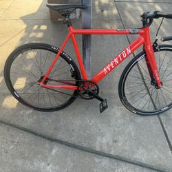 Aventon Cordoba Orange 55cm