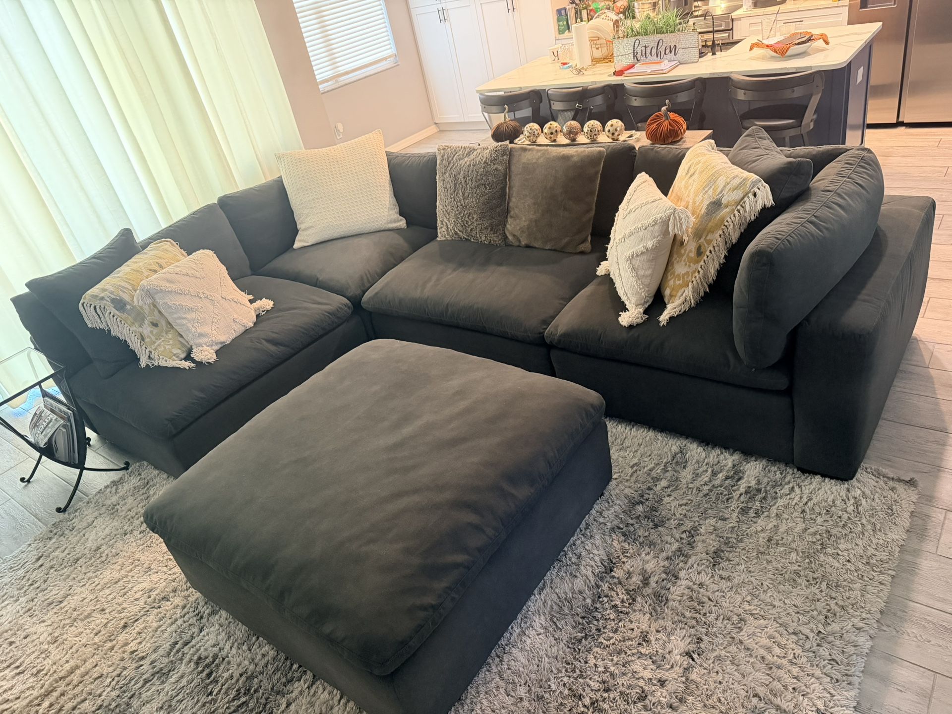 American Signature Plush Couch