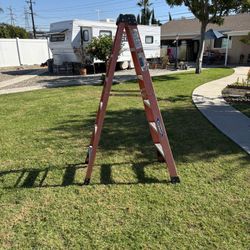 6. Ft Stepladder