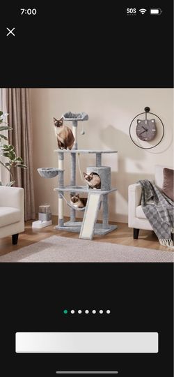60 Inch High Cat Tree