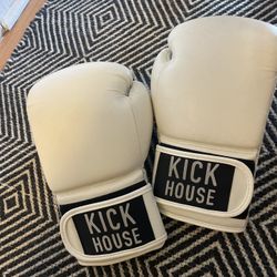 Kickboxing Gloves