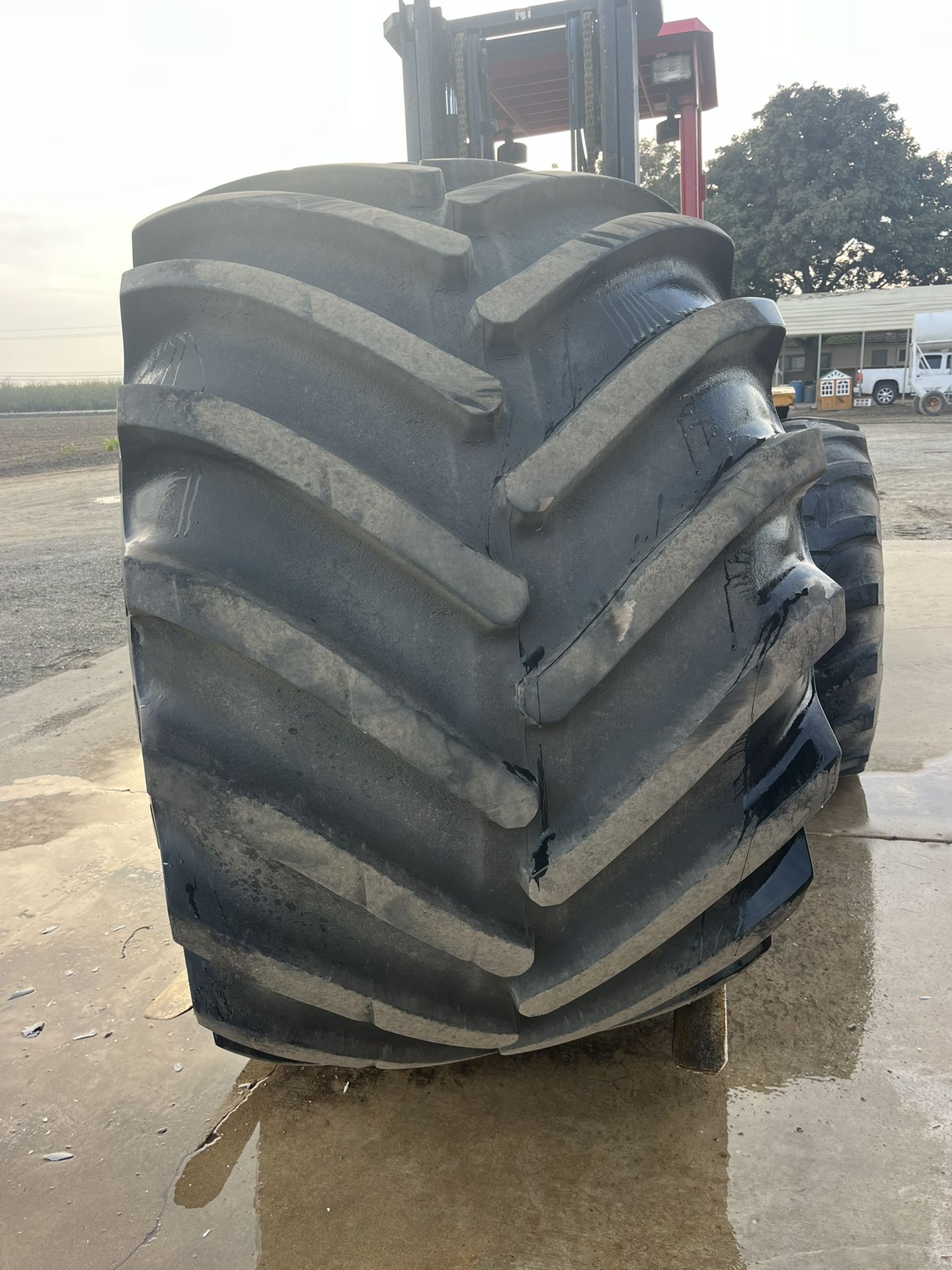 Goodyear 66 X 43.00 - 25NHS