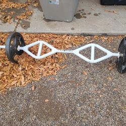 Curl Bar with Weights