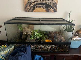 40 gallon Terrarium